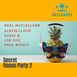 Secret House Party 2