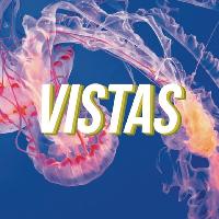 VISTAS + Support