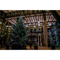 APRES-SKI AT THE CHEESEGRATER