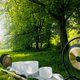 Sunset Sefton Park Meditation & Sound Healing Event Title Pic