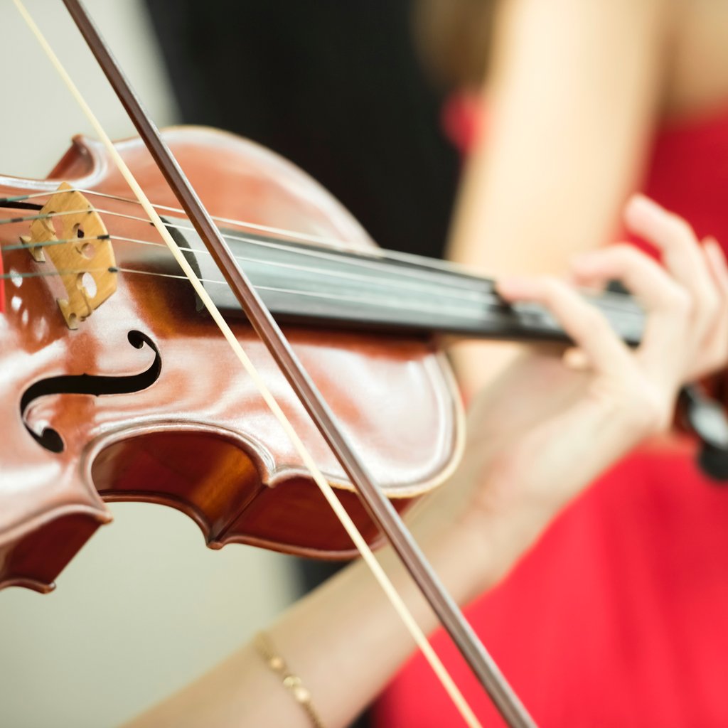 Vivaldi Four Seasons at Christmas by Candlelight