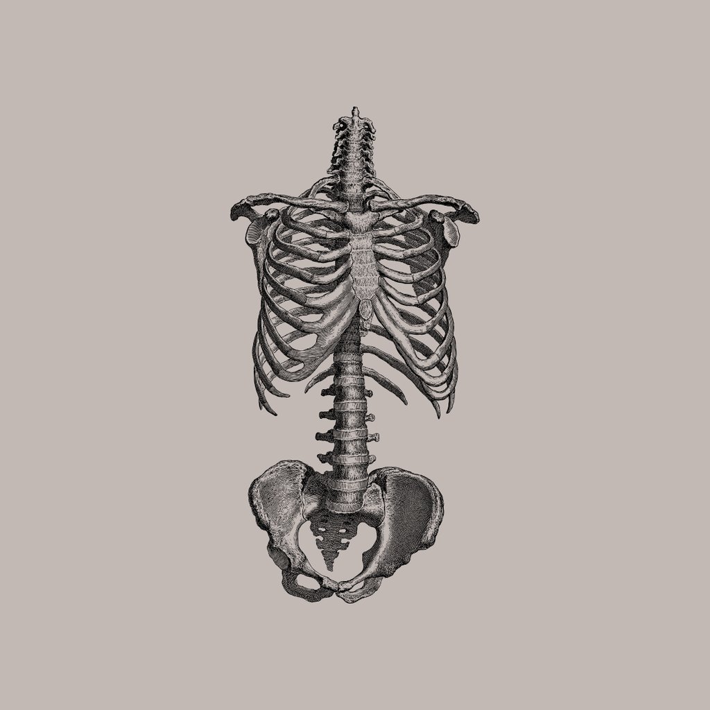 Under The Skin