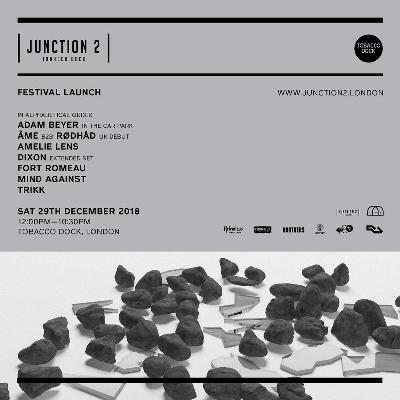 Junction 2 Launch Party