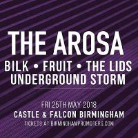 The Arosa + BILK + Fruit + The Lids + Underground Storm