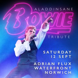 Aladdinsane - The Sound & Vision of Bowie tribute: Norwich