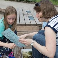 BioBlitz 2018