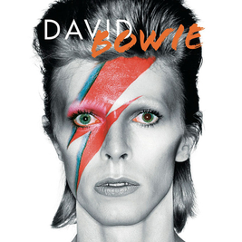 The Sensational David Bowie Tribute Band