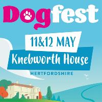 DogFest, Hertfordshire