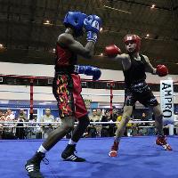 A Night Of Top Quality Boxing
