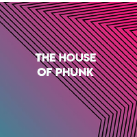The H.O.P-The House Of Phunk at HiFi Club
