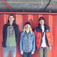 Gender Roles | Sheffield at Record Junkee