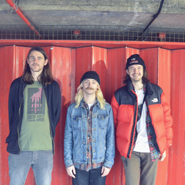 Gender Roles | Sheffield