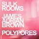 Sulk Rooms + James Adrian Brown + Polypores Event Title Pic