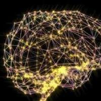 Brain training