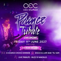 Prince Tribute Live Show