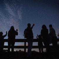 Bats, Bugs & Beers