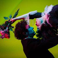 The Flying Lovers of Vitebsk