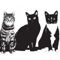 We Are Scientists We Are Scientists