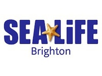 Sea Life Brighton Deluxe Anytime  at Sea Life Centre