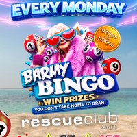 Barmy Bingo