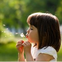 Little Seedlings Club - Wonderful Weeds
