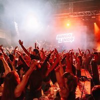 Bingo Lingo at The Yard