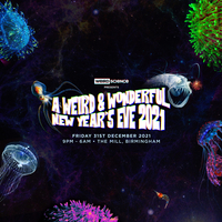A Weird & Wonderful NYE 2021 A Weird & Wonderful NYE 2021