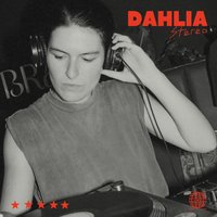 DAHLIA Stereo Sessions: Nossa