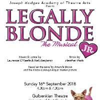 Legally Blonde The Musical