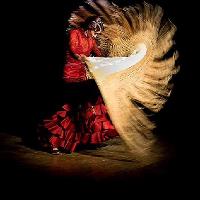 Flamenco Night at Jamboree: Presenting “El trio Flamenco” at Jamboree