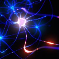 Debugging the human brain