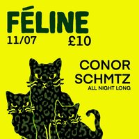 Féline  W Conor Schmtz (5 hour set) at Ulster Sports Club