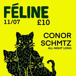Féline  W Conor Schmtz (5 hour set)