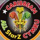 Caribbean All StarZ Cymru: Pre NYE Party Event Title Pic