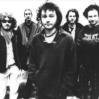 Beautiful Day Out - The Levellers & Friends