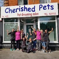 Waggy Tails Charity Grooming Day
