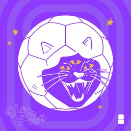DISCO PUSS: "Disco Ball