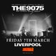 The 9075 // The world's first tribute to The 1975 Event Title Pic