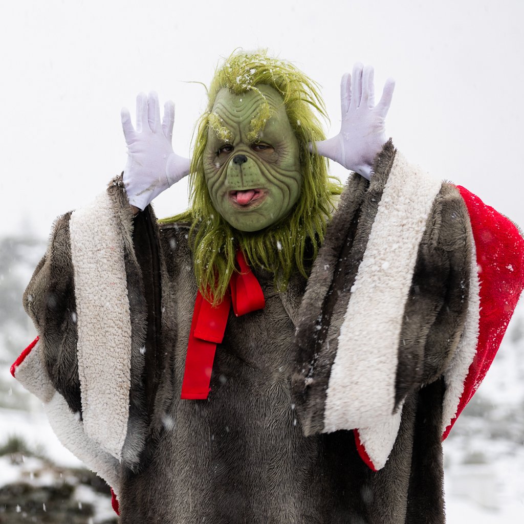 The Grumpy Grotto Christmas Experience