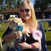 All About Dogs Show Essex