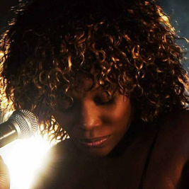 Tina Turner Tribute Night - Worcester