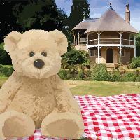 Teddy Bears Picnic