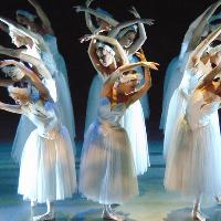 Swan Lake