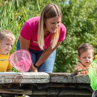 Quiet and Calm Pond Dipping