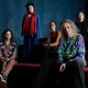 Ozric Tentacles Event Title Pic