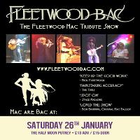 Fleetwood Bac: Fleetwood Mac Tribute Band Live