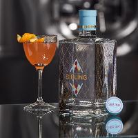 Gin Tasting Evening with Sibling Distillery at Bacon Theatre