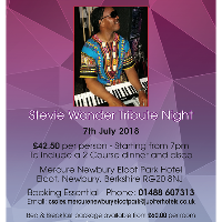 Stevie Wonder Tribute Night