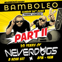 Bamboleo: 20 Years of Neverdogs (Round 2) at Fabric