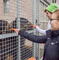 Father's Day Package at Noah's Ark Zoo Farm